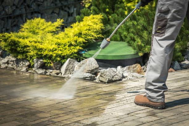 Best Animal Enclosure Cleaning  in Perham, MN